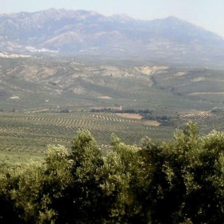 비야카리요 Cortijo El Derramadero 빌라 외부 사진