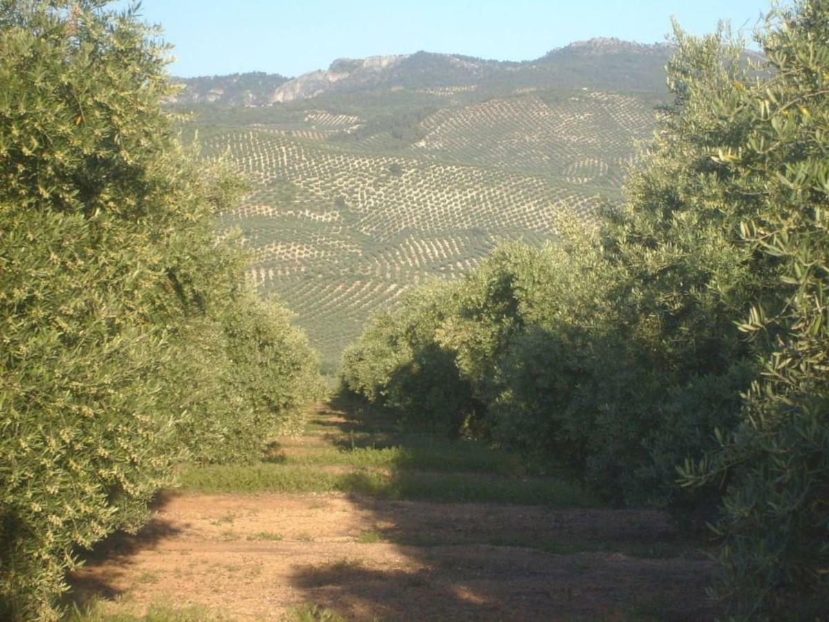 비야카리요 Cortijo El Derramadero 빌라 외부 사진