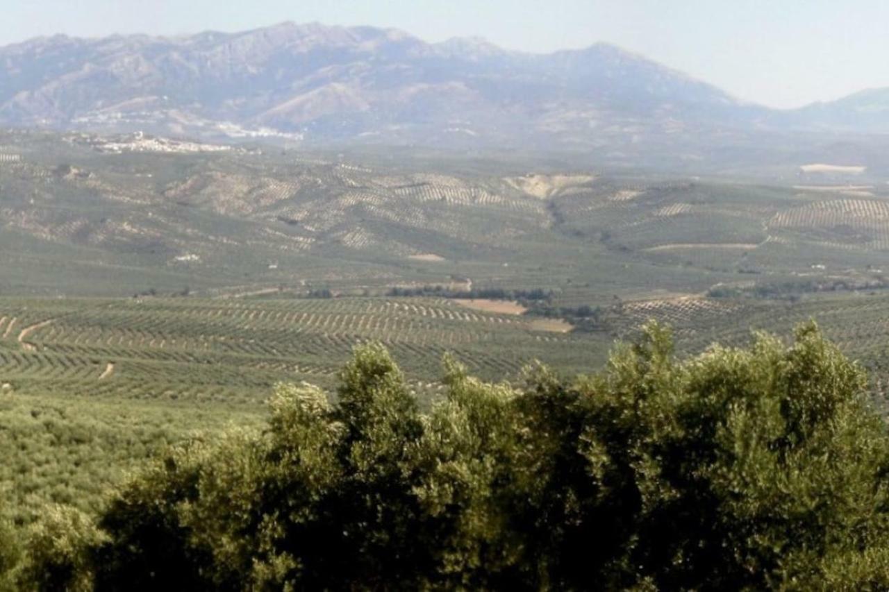 비야카리요 Cortijo El Derramadero 빌라 외부 사진
